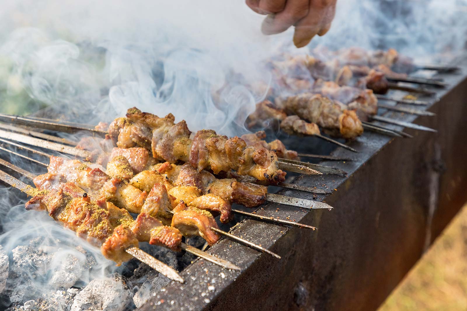 烤羊肉串 Kebab