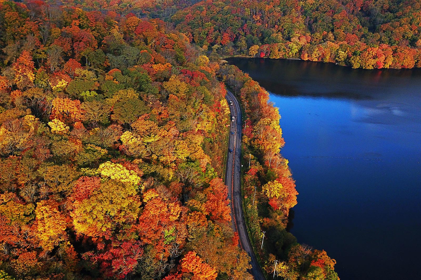 北海道大沼國定公園