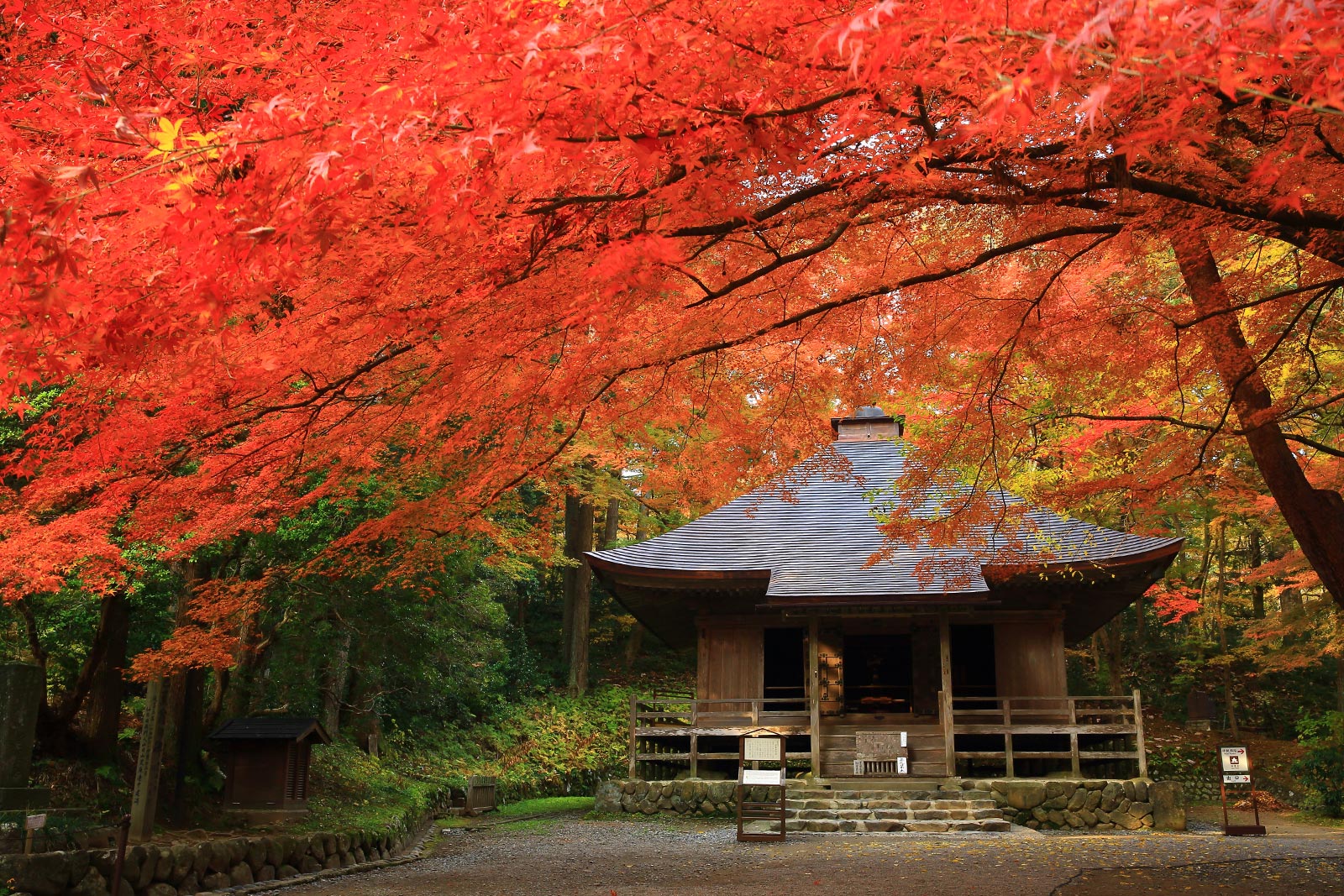 中尊寺