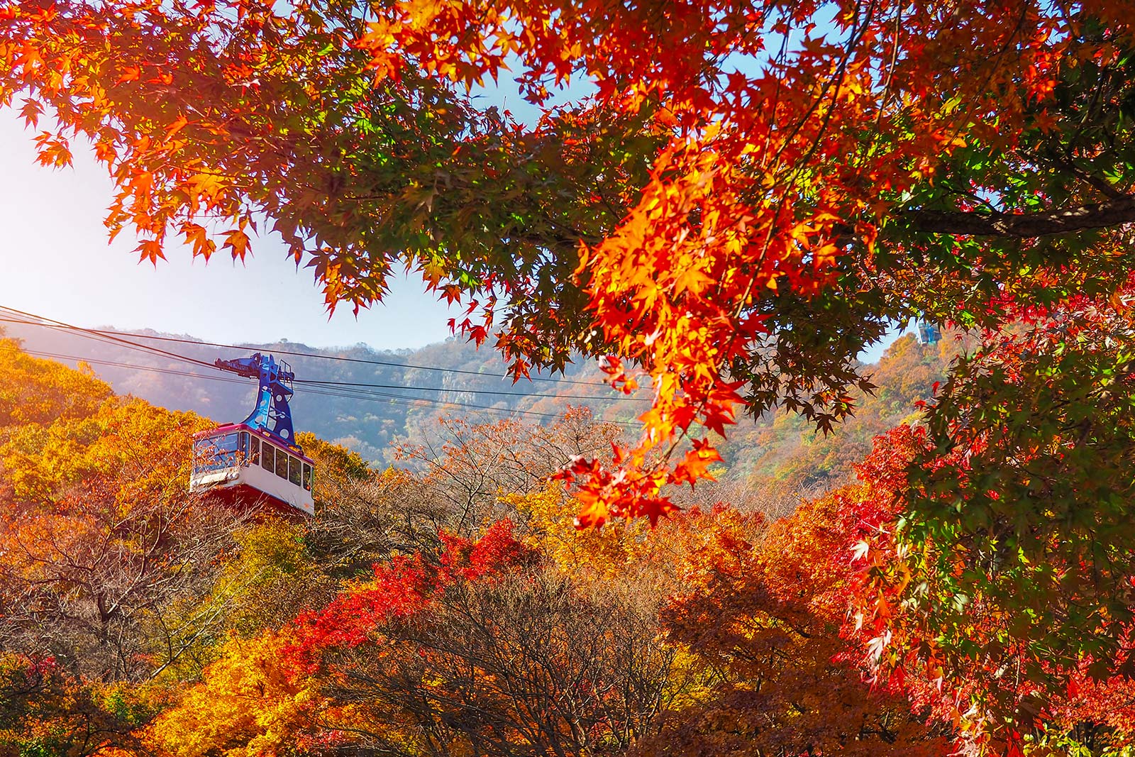 內藏山國家公園