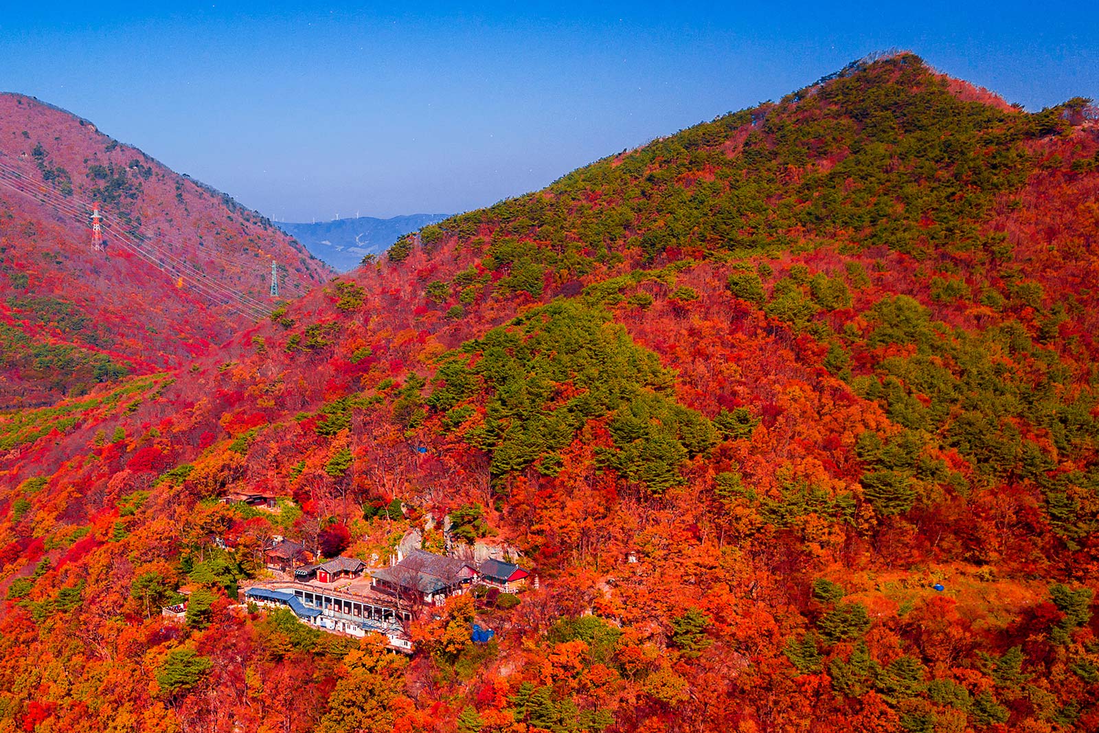 金井山(梵魚寺)