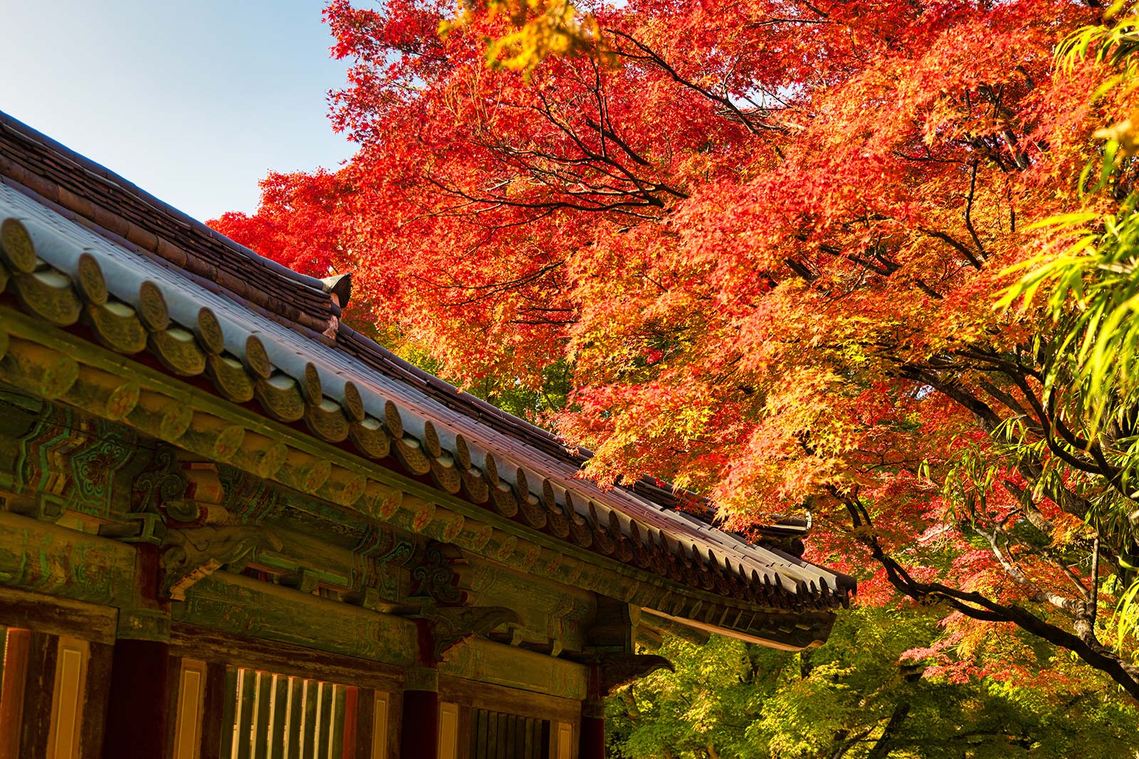 慶州佛國寺