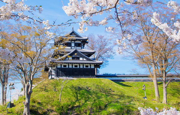 山富旅遊 日本東北 新潟仙台串起美好旅行